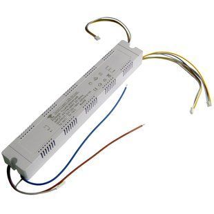 LED Driver (40-60W)х6 250mA 2.4G LED04334 фото
