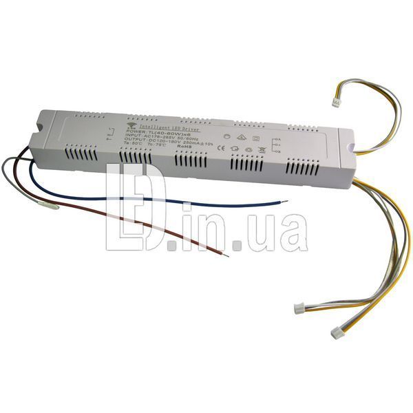 LED Driver (40-60W)х6 250mA 2.4G LED04334 фото